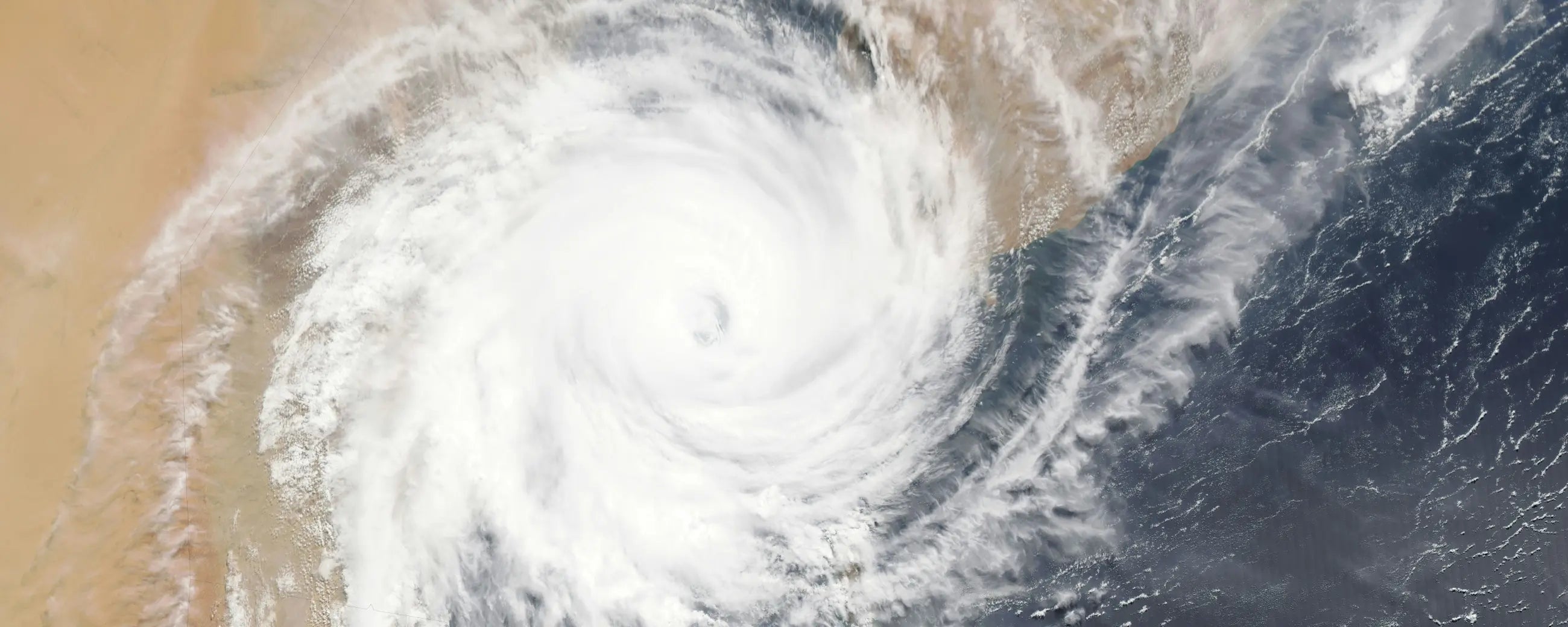 Hurricanes bring intense winds, heavy rain, and storm surges, causing damage to power lines, transformers, and substations, resulting in significant power outages.
