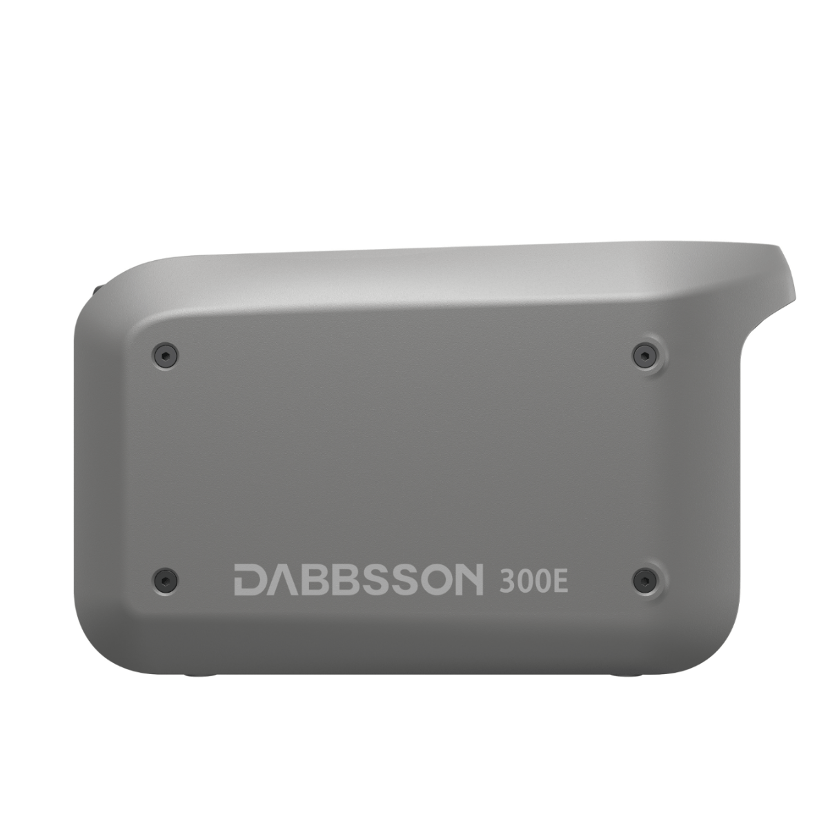 Dabbsson 300E Portable Power Station | 298Wh, 300W
